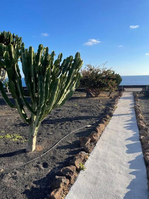 Precioso Rincon Entre El Mar Y Los Volcanes 科斯塔特吉塞 外观 照片